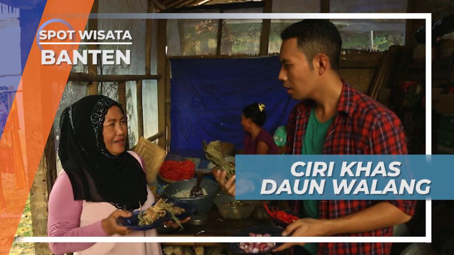 Daun Walang, Rempah Beraroma Seperti Walang Sangit, Banten