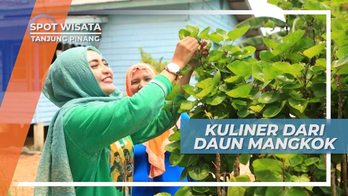 Membuat Kuliner Lezat dari Daun Semangkok, Tanjung Pinang