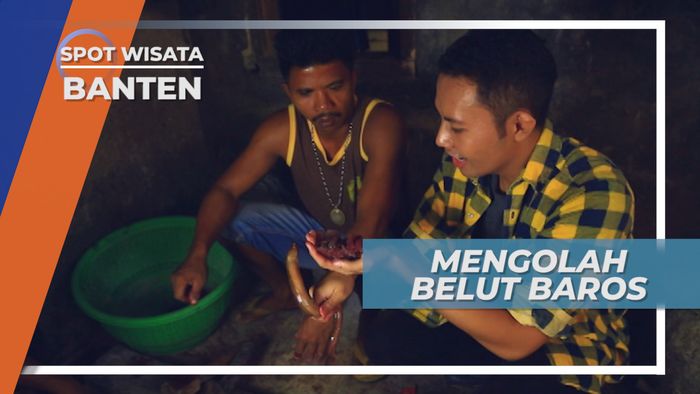 Mengolah Belut, Kuliner Istimewa yang Tersohor Kelezatannya, Banten