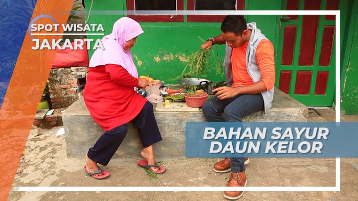  Sayur Daun Kelor, Racikan Bahan Kuliner Jakarta