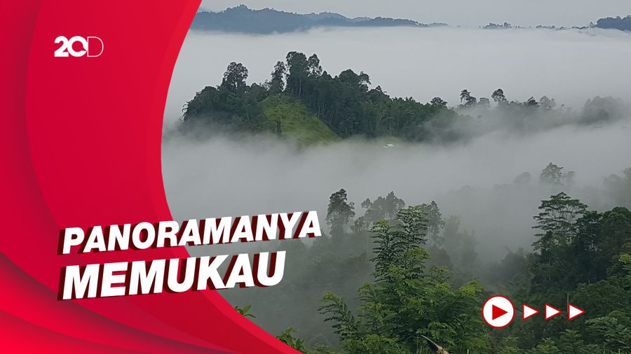 Menikmati Keindahan Wisata Awan Uhai Sibali di Polman