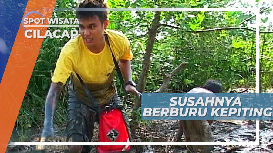 Lumpur dan Ranting Tajam, Rintangan Dalam Berburu Kepiting, Cilacap