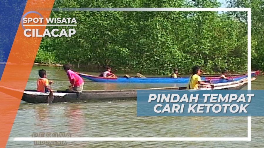 Genangan Air, Tempat Kerang Ketotok Bersembunyi, Cilacap