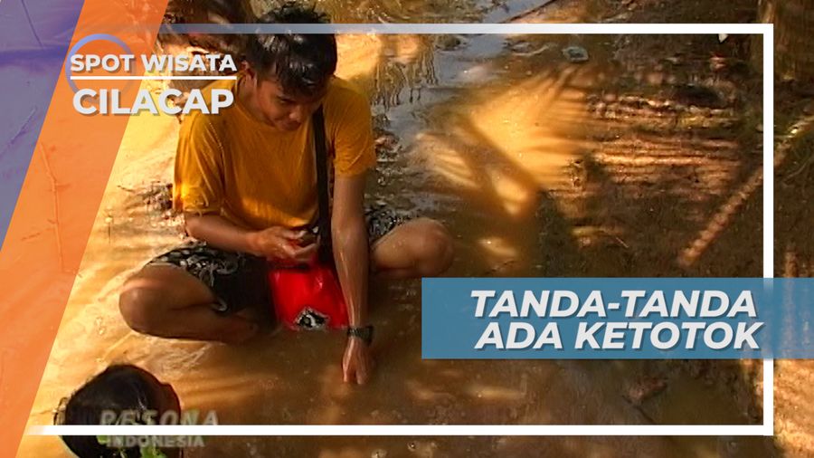 Semburan Air, Tanda Keberadaan Kerang Ketotok, Cilacap