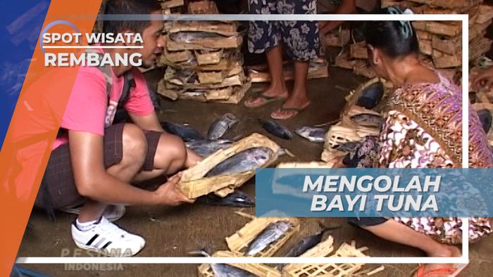 Pindang Bayi Tuna Desa Pondok Dadap Rembang Jawa Tengah