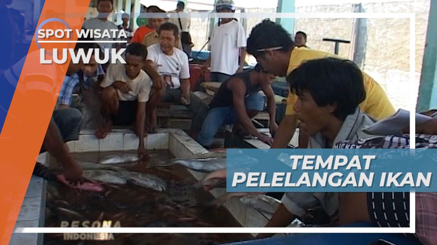 Satu-Satunya Tempat Pelelangan Ikan Kota Luwuk Sulawesi Tengah