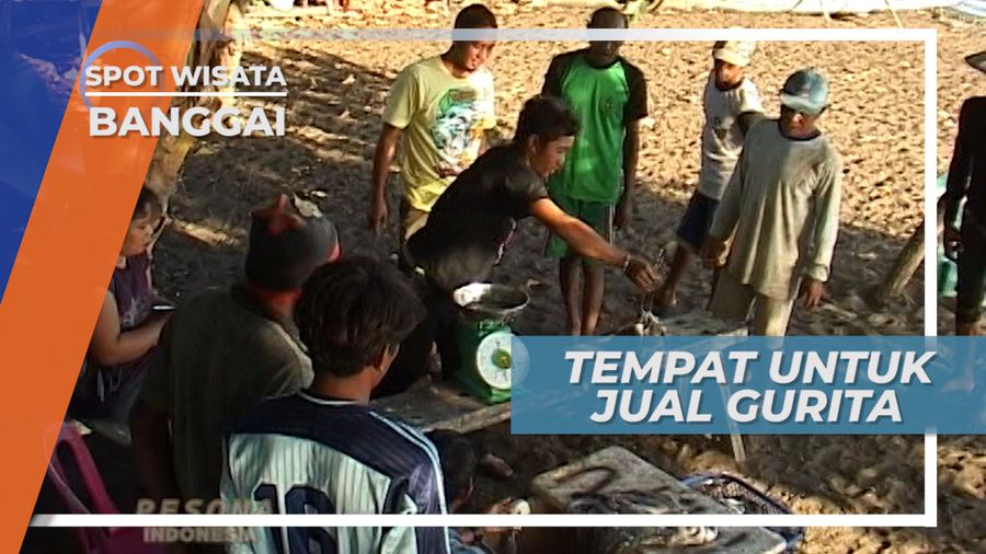 Menjual Gurita, Setelah Seharian Berjibaku dengan Gelombang Laut, Banggai