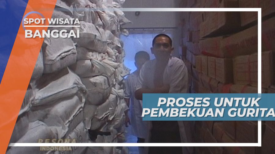 Proses Pembekuan Gurita, Sebelum Diekspor, Banggai