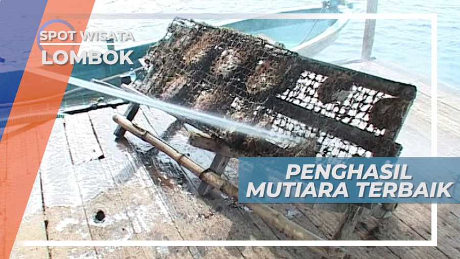 Kemilaunya, Membuat Mutiara Lombok Memiliki Kualitas Terabaik Didunia, NTB