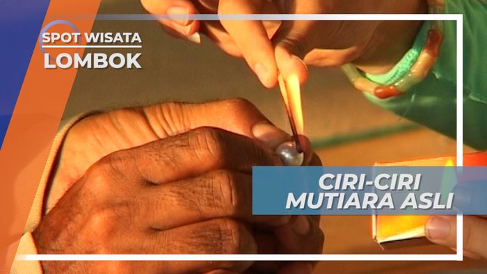 Dengan Sehelai Rambut, Cara Membedakan Mutiara Asli dan Palsu, NTB 