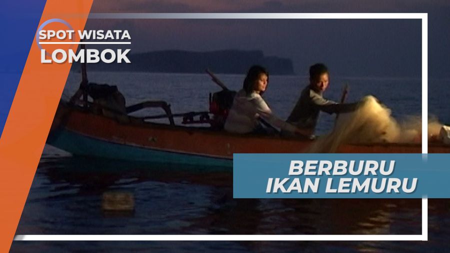 Menjemput Fajar, Berburu Ikan Lemuru di Perairan Awang, Lombok