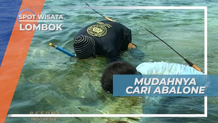 Berbekal Alat Pengail, Mencari Abalone Cukup Mudah Dilakukan, Lombok