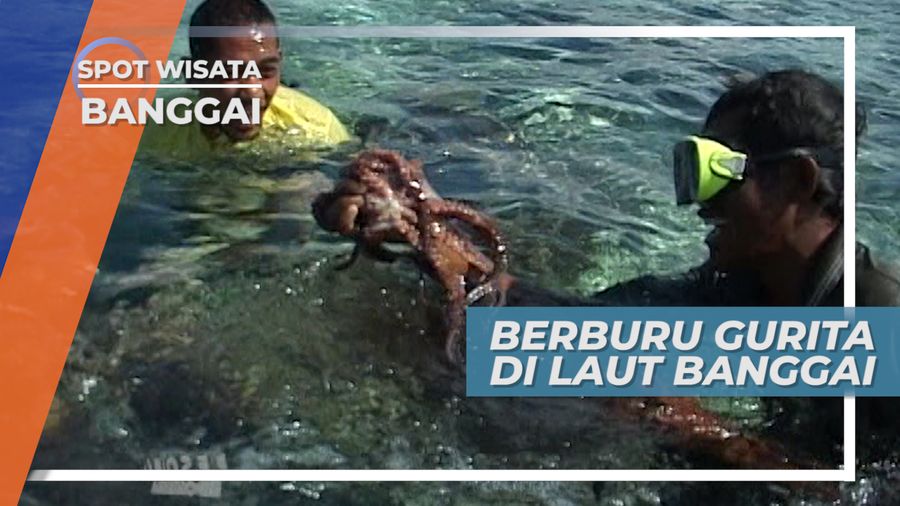 Sensasi Berburu Gurita di Tengah Laut, Banggai, Sulawesi Tengah