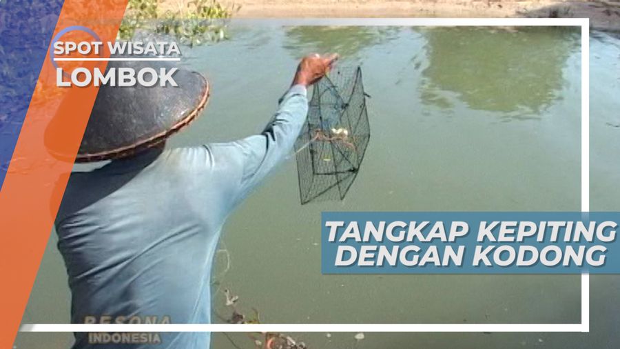 Kodong, Alat Tangkap Kepiting Lombok 