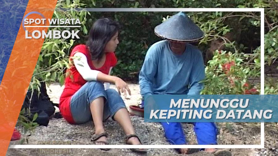 Menunggu Satu Malam agar Kepiting Masuk Ke Dalam Jaring di Lombok
