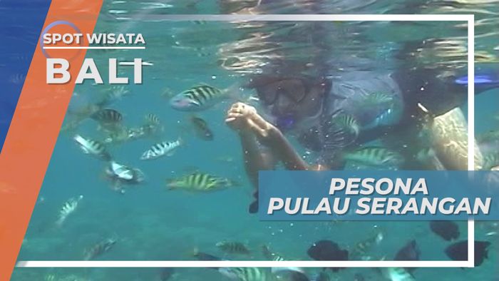 Pesona Bawah Laut Pulau Serangan Bali