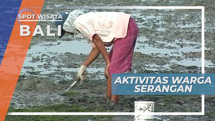 Beginilah Aktivitas Sehari-hari Kampung Nelayan Pulau Serangan Bali