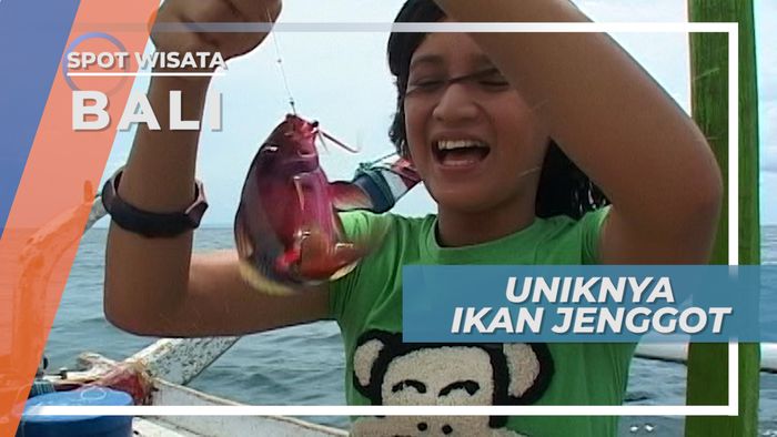 Warna-warni, Ikan ini Juga Berjenggot, Pulau Serangan Bali