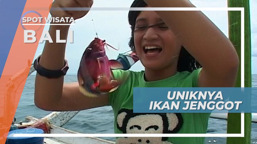 Warna-warni, Ikan ini Juga Berjenggot, Pulau Serangan Bali