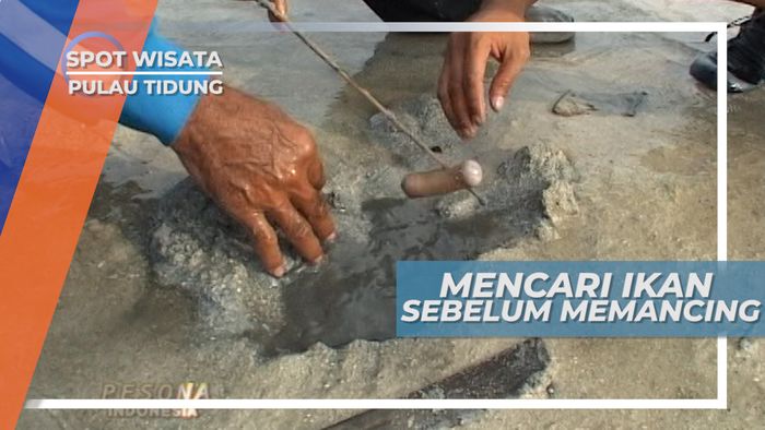 Mencari  Owa Owa, Umpan Ikan Sebelum Memancing, Pulau Tidung