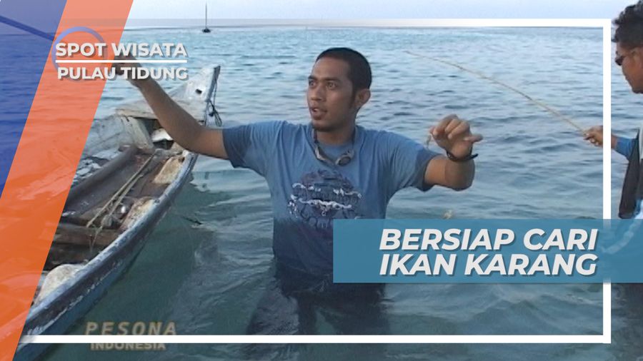 Irisan Cacing Laut, Umpan Berburu Ikan Karang, Pulau Tidung