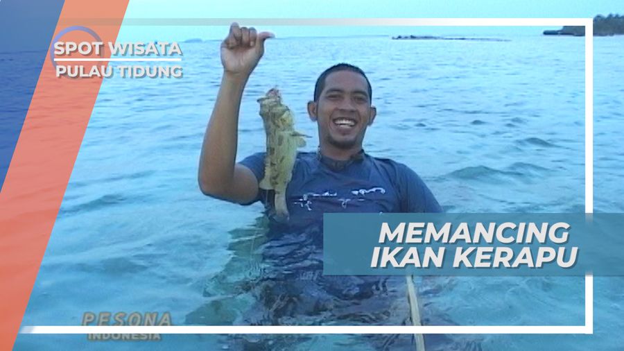Ikan Kerapu Macan, Hasil Tangkapan Istimewa, Pulau Tidung