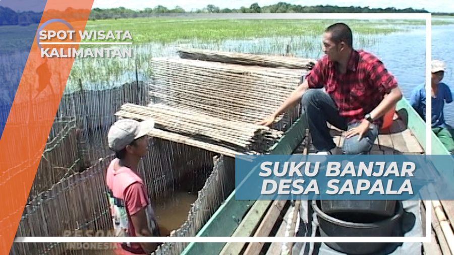 Hampang, Alat Tangkap Ikan Rawa Kerbau Desa Sapala, Hulu Sungai Utara Kalimantan Selatan