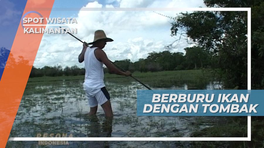 Sarappang, Menombak Ikan ala Suku Banjar di Sungai Kali Paminggir Hulu Sungai Utara Kalimantan Selatan