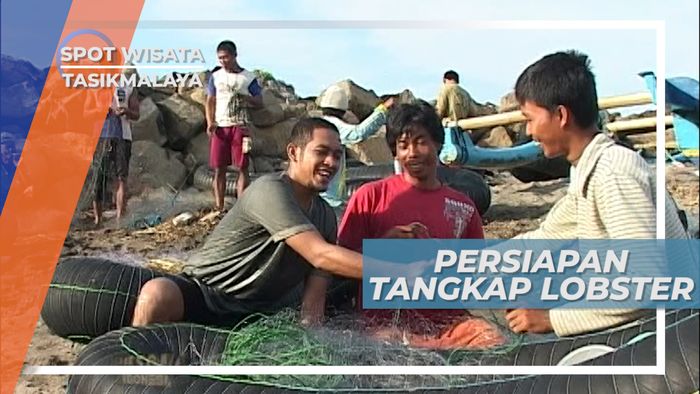 Lobster, Tangkapan Seru Di Laut Tasikmalaya