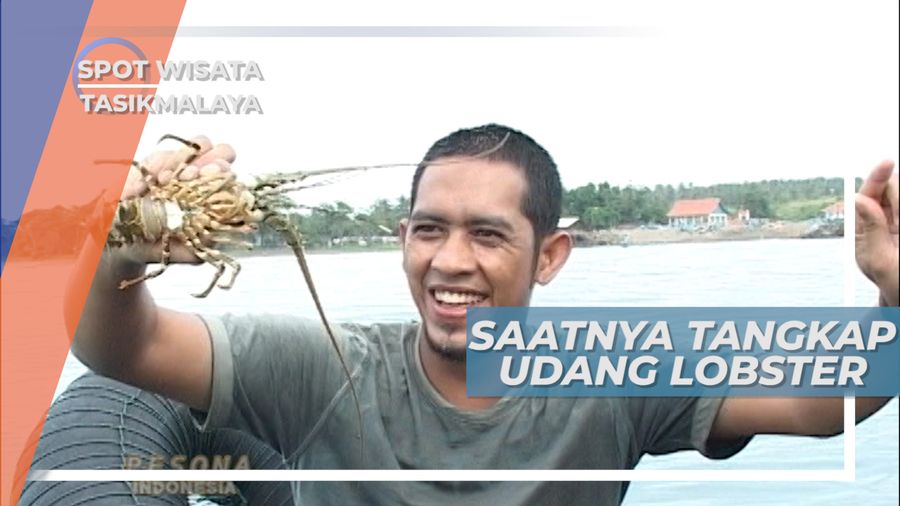 Menangkap Lobster dengan Jaring, Banyak yang Terperangkap, Tasikmalaya