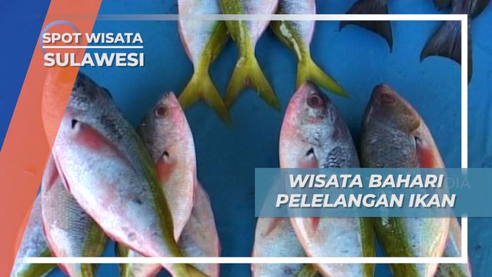 Berburu Hasil Laut di Pelelangan Ikan Luwuk, Sulawesi Tengah