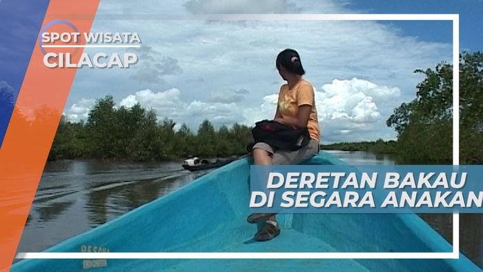 Deretan Bakau di Segara Anakan, Cilacap