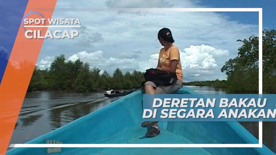 Deretan Bakau di Segara Anakan, Cilacap