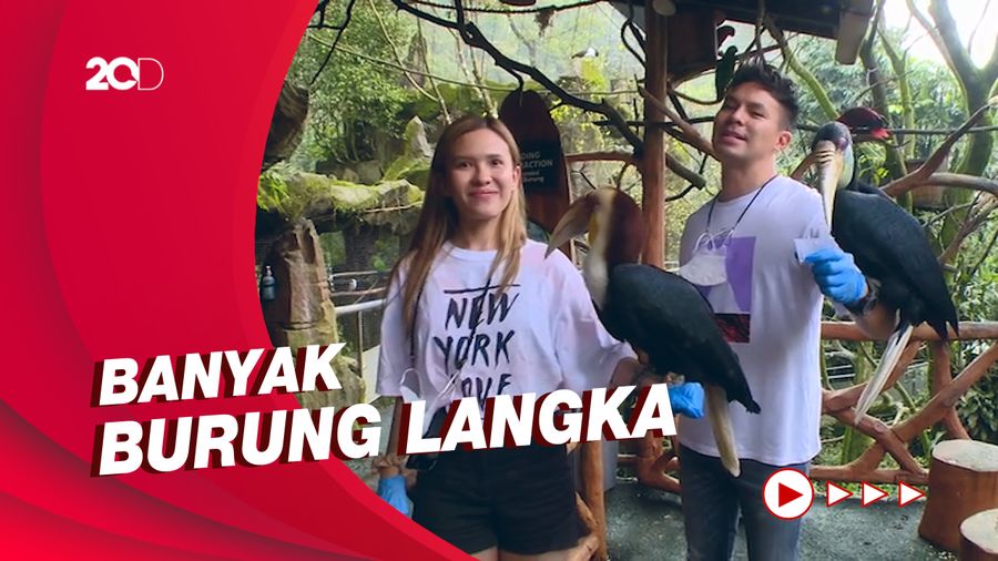 Celebrity on Vacation: Serunya Kasih Makan Burung-burung di Baby Zoo