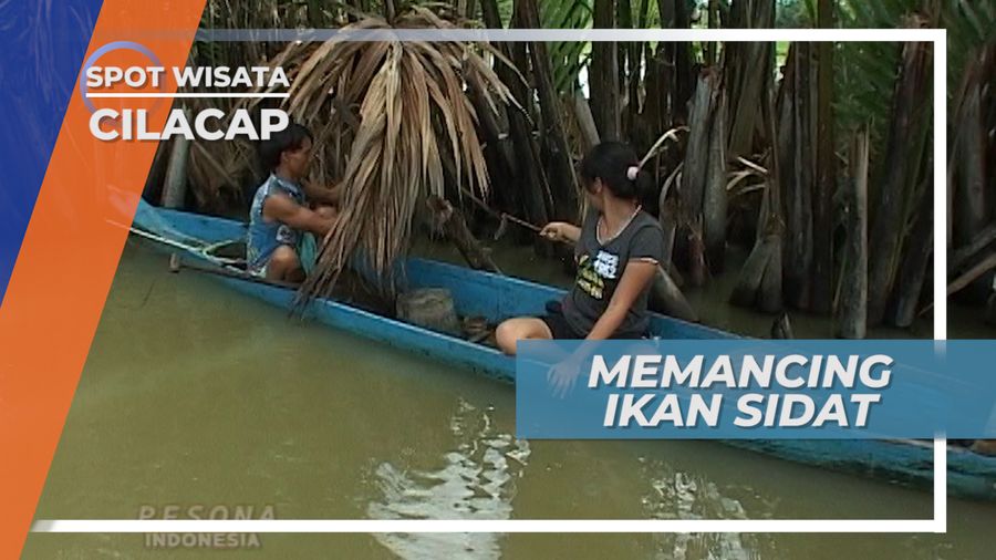 Cacing dan Lidi, Amunisi Untuk Berburu Ikan Sidat Cilacap