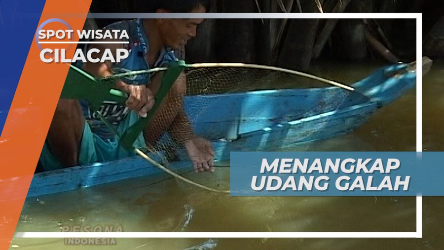 Menebar Perangkap Untuk Berburu Udang Galah Cilacap