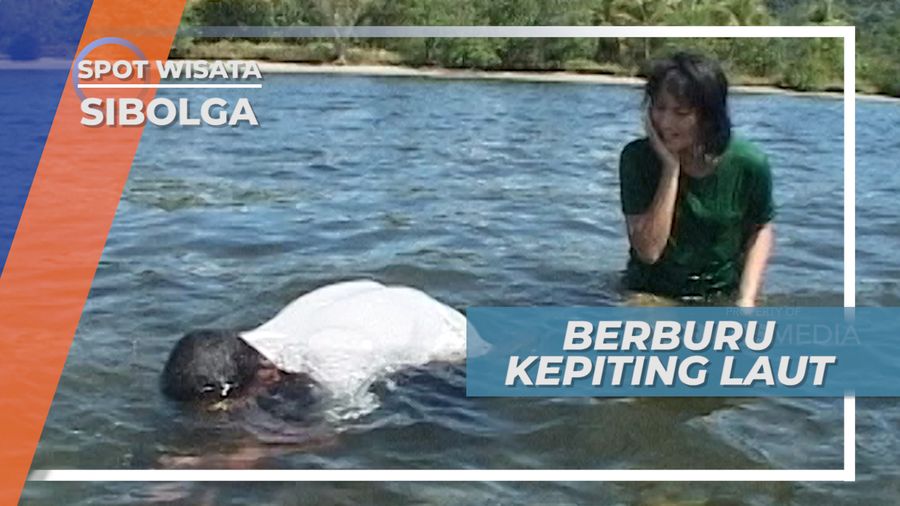 Butuh Kejelian, Berburu Kepiting di Pinggir Pantai Sibolga, Sumatera Utara