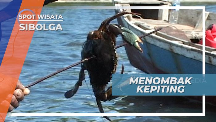 Berbekal Tombak, Kepiting Super Jumbo Ku Dapat, Sibolga