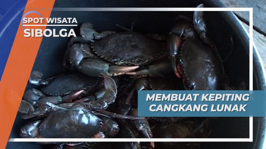 Kepiting Cangkang Lunak, Jenis Kepiting Khas Masyarakat Tapian Nauli, Sibolga