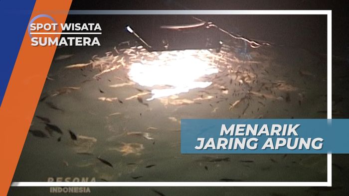 Menarik Jaring Apung, Ratusan Ikan Terperangkap, Sumatera Utara
