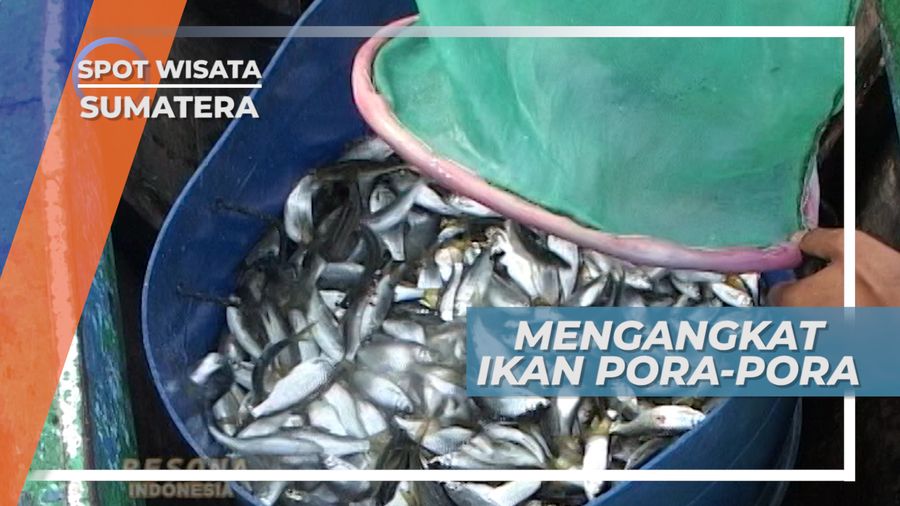 Ikan Pora-pora, Ikan yang Hanya Bisa Hidup di Danau, Sumatera Utara