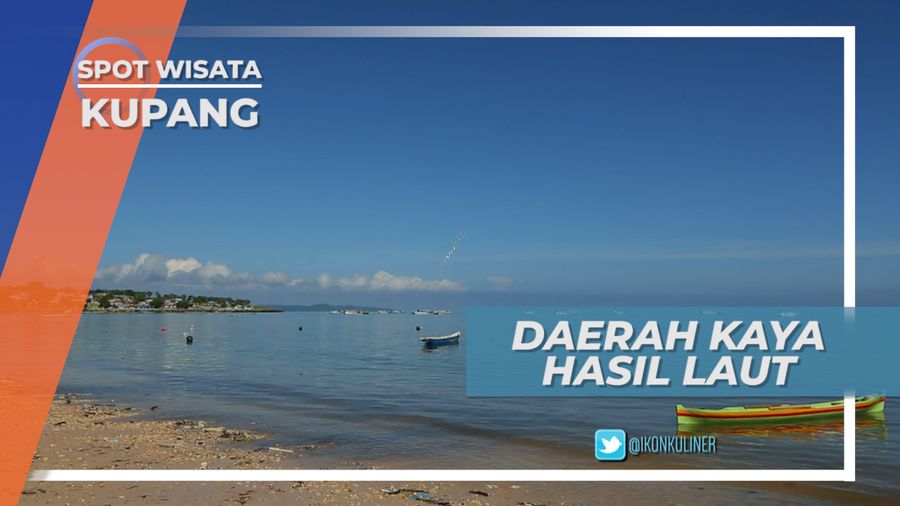 Kupang, Propinsi Paling Selatan Indonesia Penghasil Biota Laut yang Melimpah, NTT