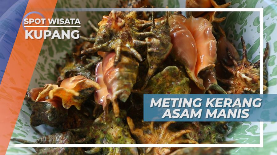 Memasak Kerang Lima Jari Bumbu Asam Manis Khas Kupang yang Lezat, NTT