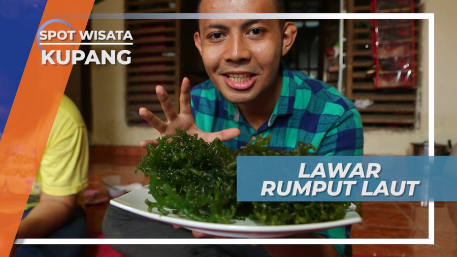 Membuat Lawar Rumput Laut, Hidangan Khas Kupang yang Mirip Urap-urap, NTT