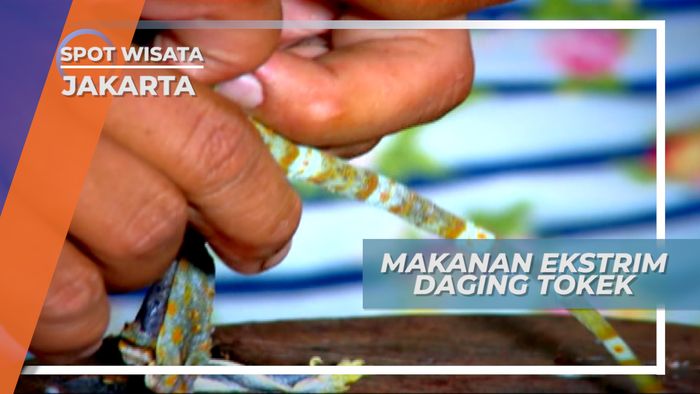 Daging Tokek, Kuliner yang Dipercaya Bisa Menyembuhkan Berbagai Penyakit, Jakarta