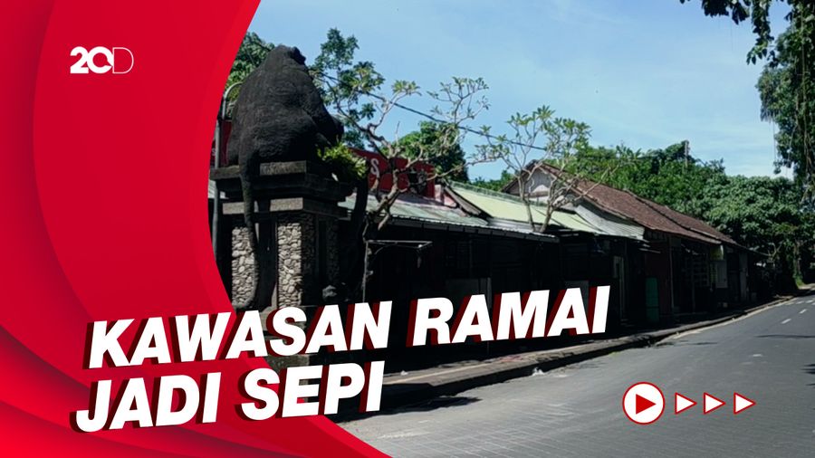 Melihat Kawasan Ubud yang Terpukul Dampak Pandemi