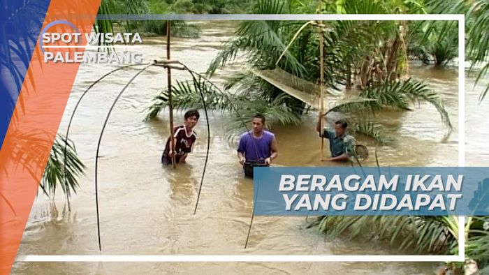 Kecil Tapi Berlimpah, Hasil Tangkapan Nelayan Sungai Musi Palembang