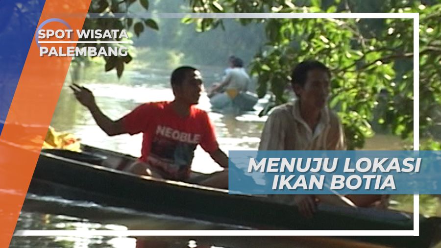 Menuju Habitat Ikan Botia, Melewati Perairan di Tengah Hutan, Palembang