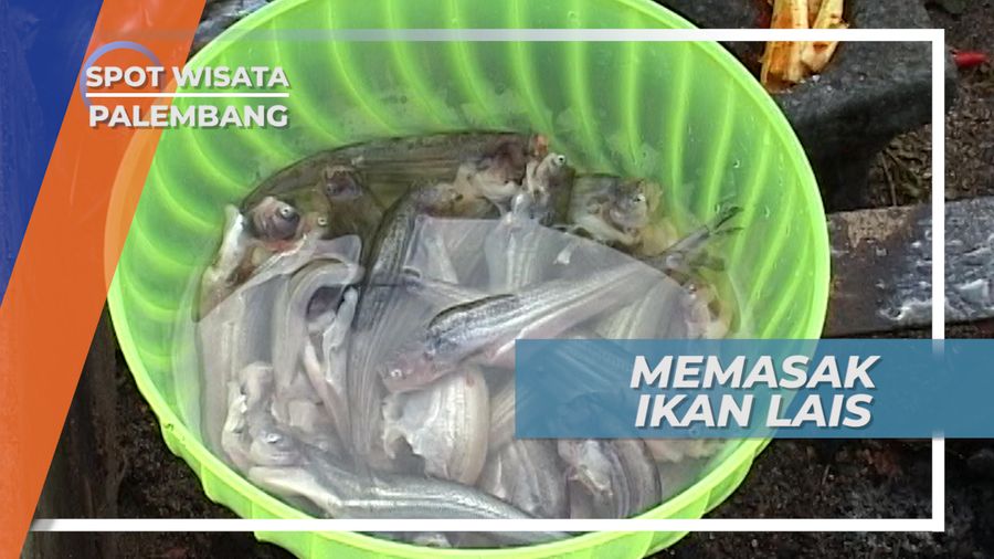 Memasak Tempoyak, Kuliner Khas Sumatera Selatan Berbahan Ikan Lais, Palembang