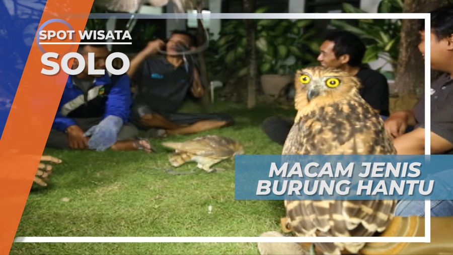 Berkenalan dengan Komunitas Pecinta Burung Hantu Solo